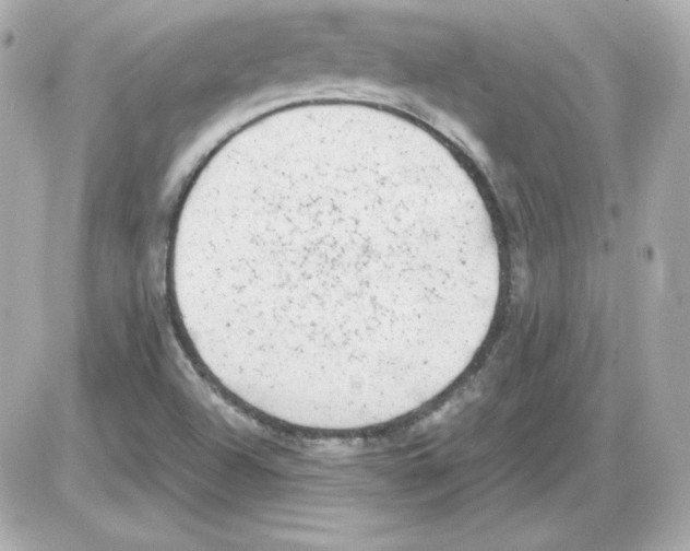 X0000085251504200704092035