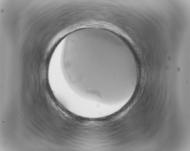 X0000085251506200704092035