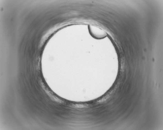 X0000085251507200704092035