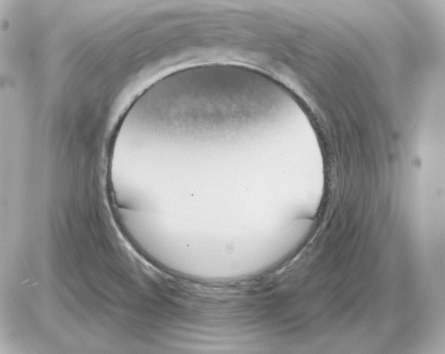 X0000085251508200704092035