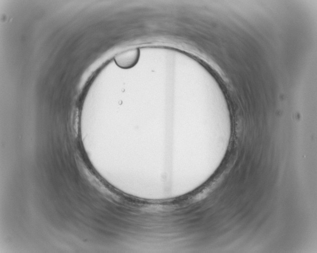 X0000085251510200704092035