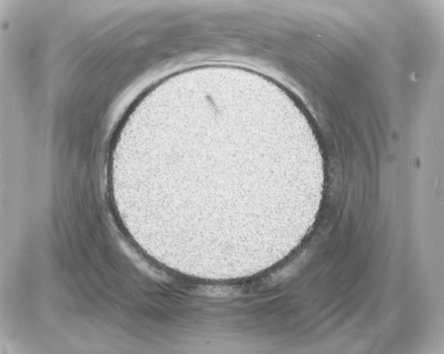 X0000085251511200704092035