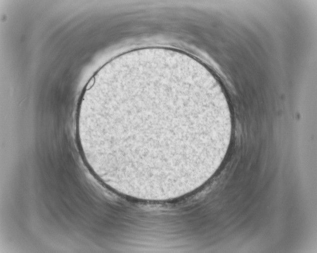 X0000085251512200704092035