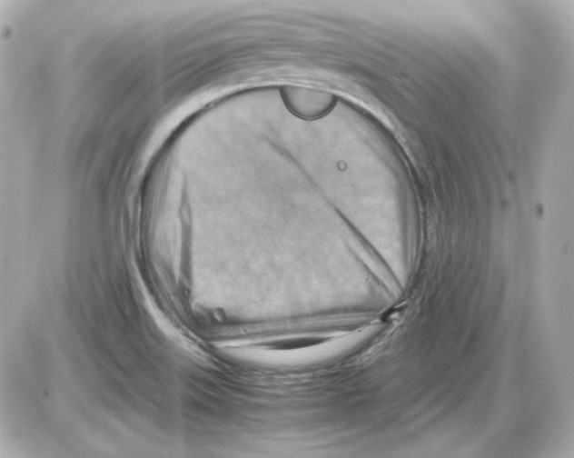 X0000085251515200704092036