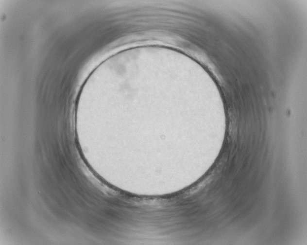 X0000085251516200704092036