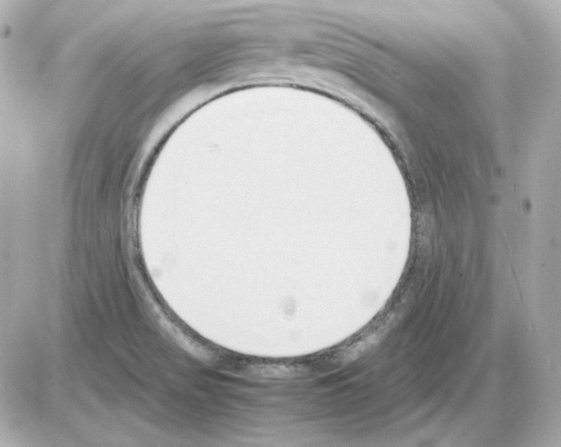 X0000085251517200704092036