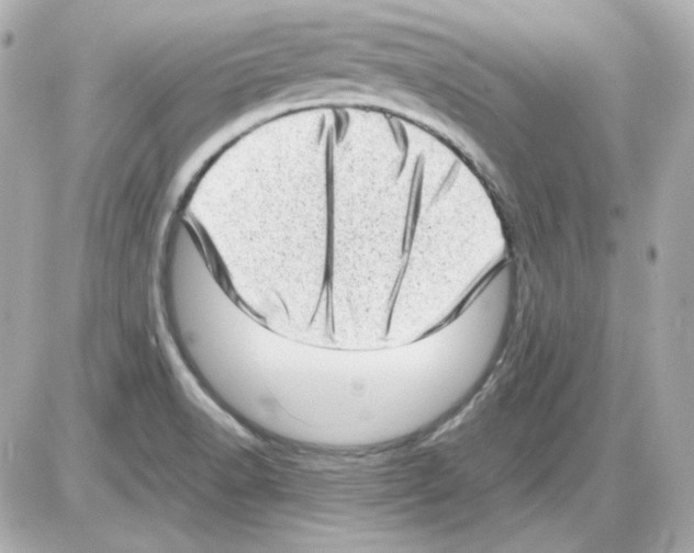 X0000085251518200704092036