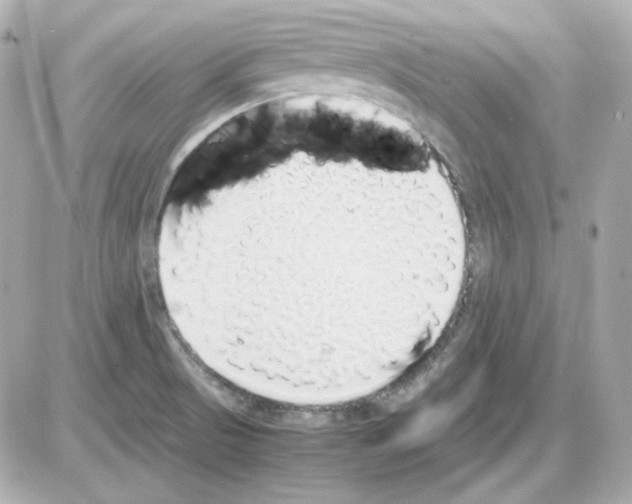 X0000085251521200704092036