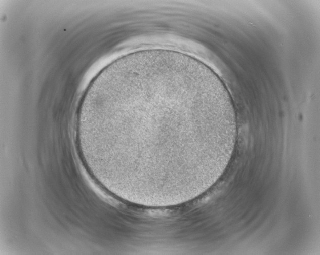 X0000085251523200704092036