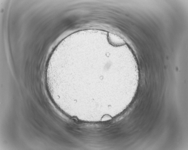 X0000085251525200704092036