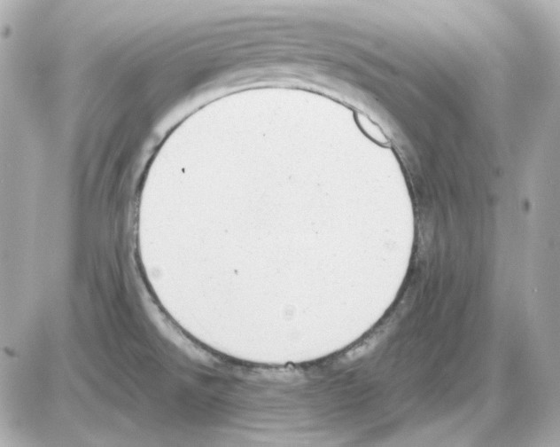 X0000085251526200704092036