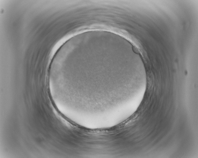 X0000085251527200704092036