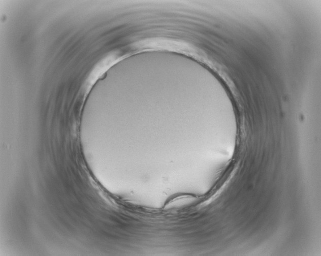 X0000085251529200704092036