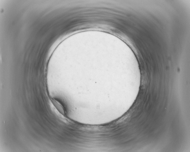 X0000085251532200704092036