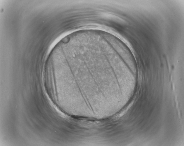 X0000085251533200704092036