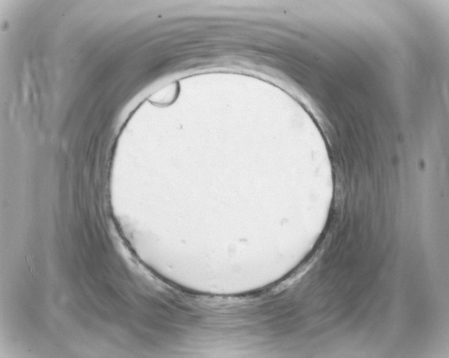 X0000085251534200704092036