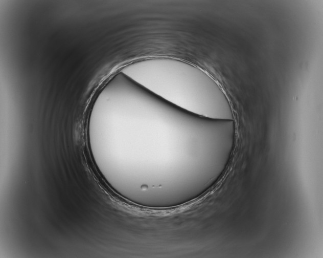 X0000085260002200703090904