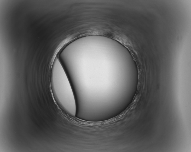 X0000085260003200703090904