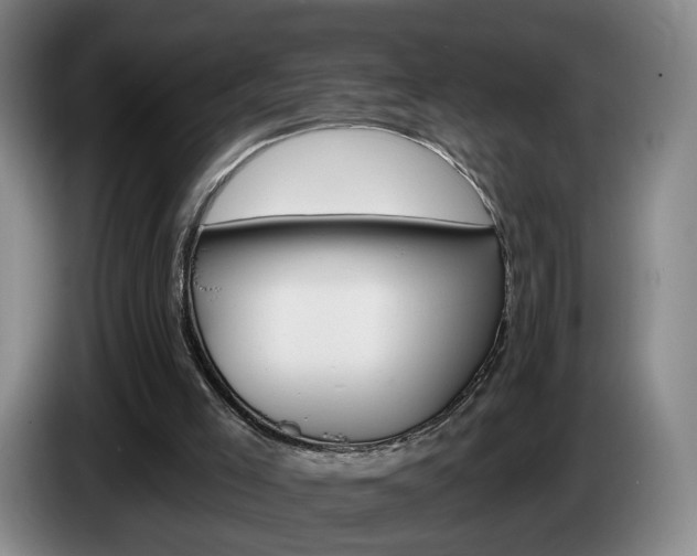 X0000085260005200703090904