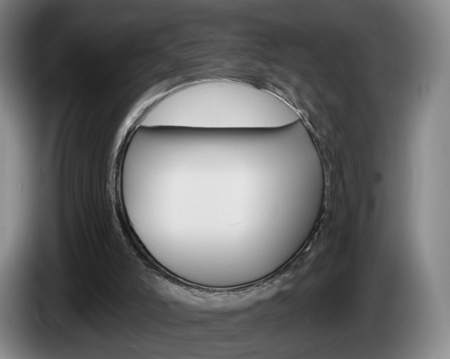 X0000085260006200703090904