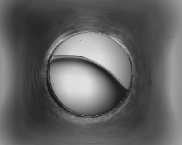 X0000085260007200703090904