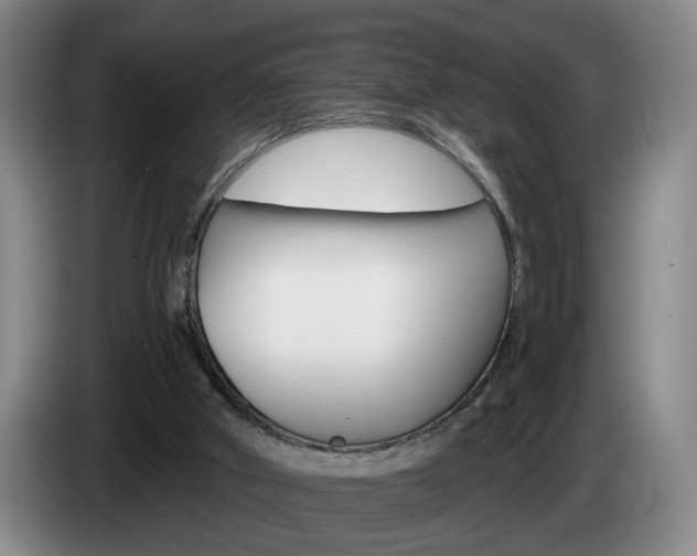 X0000085260010200703090904