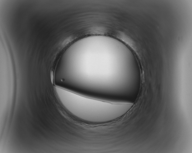 X0000085260013200703090904