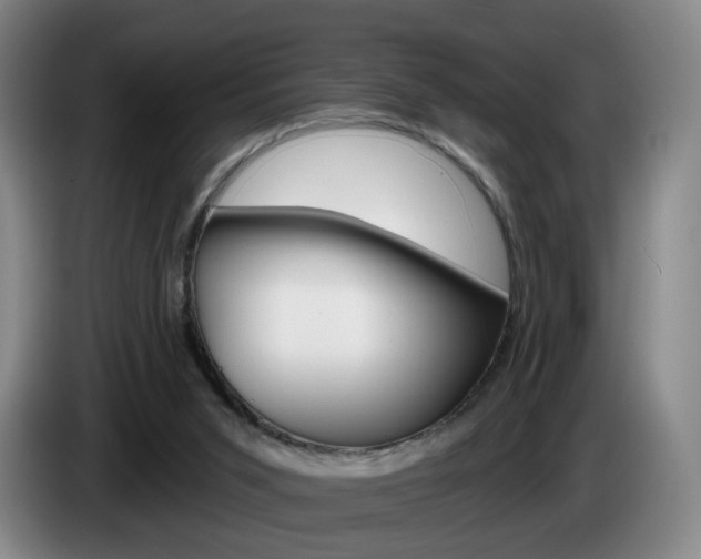 X0000085260015200703090904