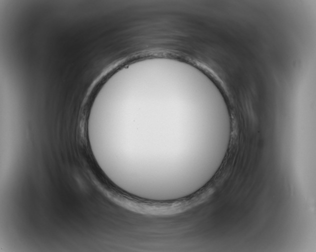 X0000085260016200703090904