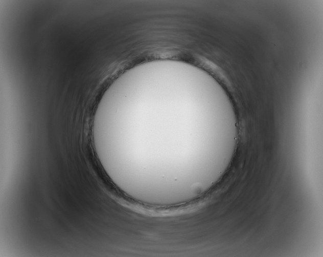 X0000085260018200703090904