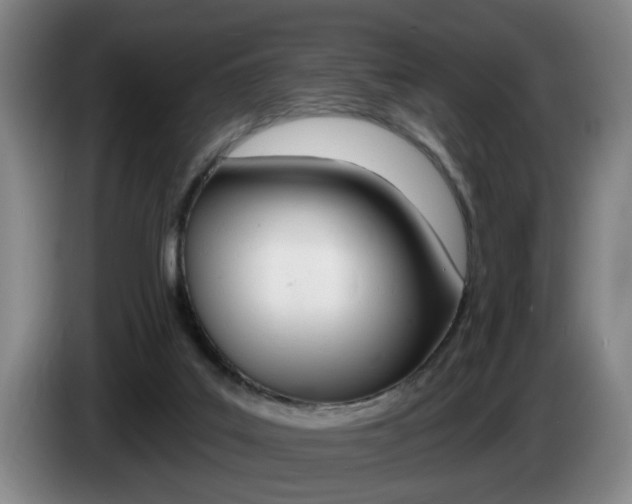 X0000085260019200703090904