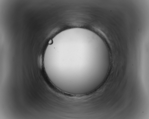 X0000085260020200703090904