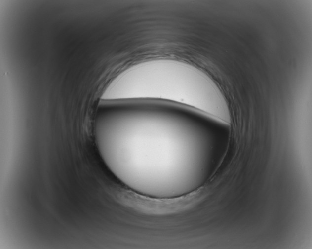 X0000085260035200703090904