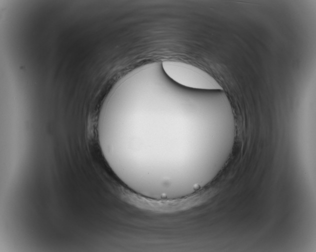 X0000085260038200703090904