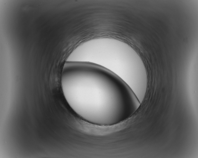 X0000085260039200703090904