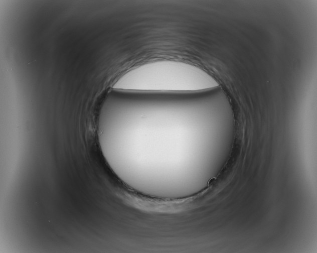 X0000085260040200703090904