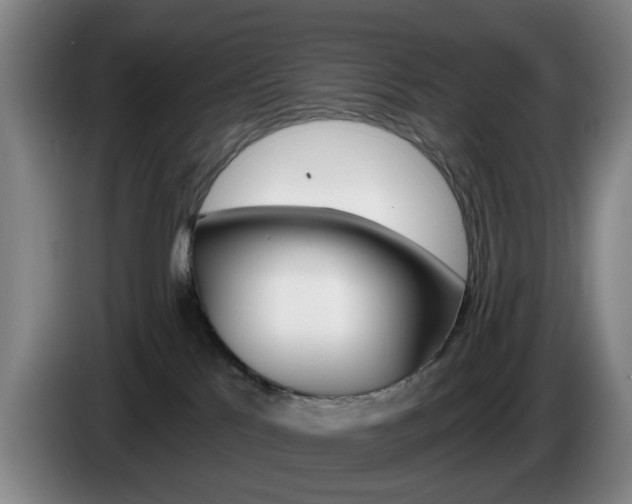 X0000085260041200703090904