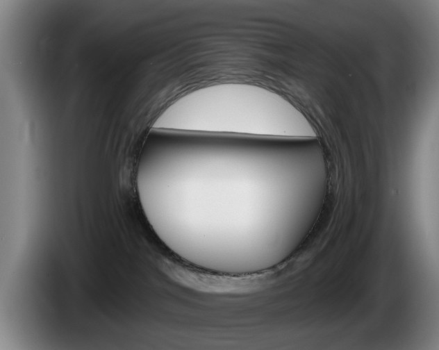 X0000085260044200703090904