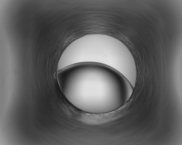 X0000085260045200703090904