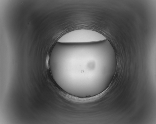 X0000085260047200703090904