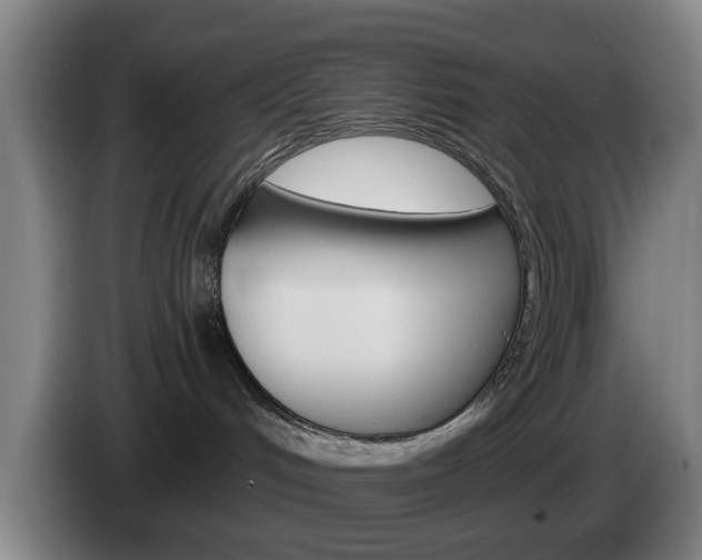 X0000085260048200703090904