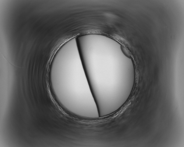 X0000085260049200703090903