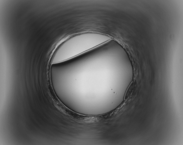 X0000085260050200703090903