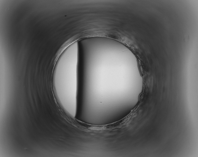 X0000085260051200703090903