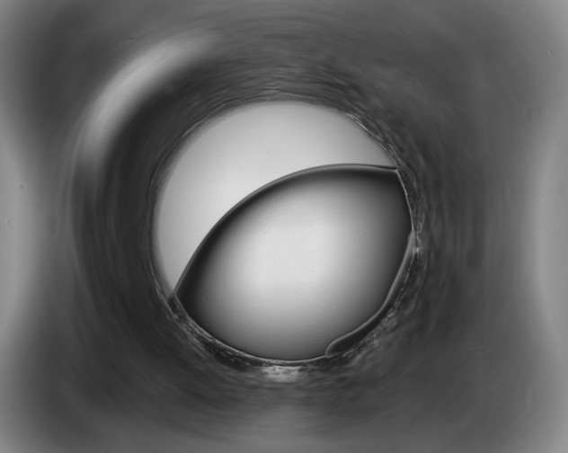 X0000085260052200703090903