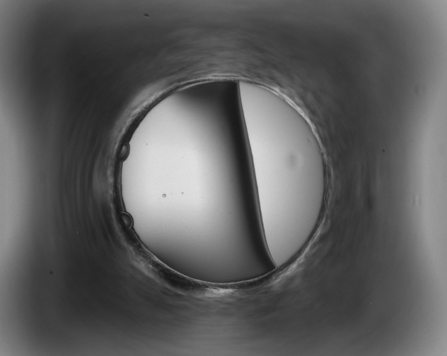 X0000085260055200703090903