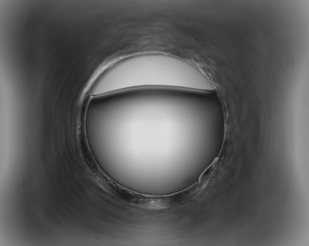 X0000085260056200703090903