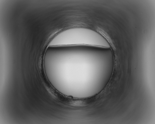 X0000085260058200703090903