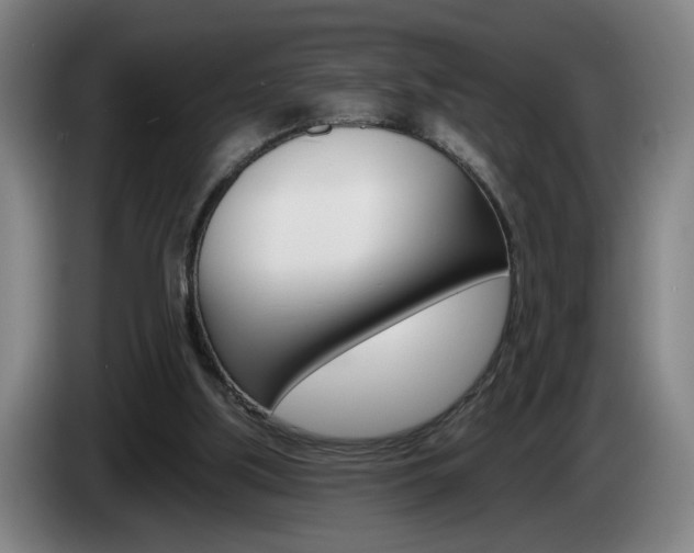 X0000085260059200703090903