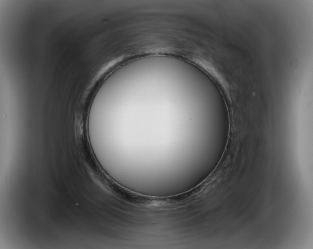 X0000085260060200703090903